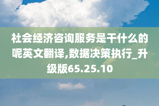 社会经济咨询服务是干什么的呢英文翻译,数据决策执行_升级版65.25.10