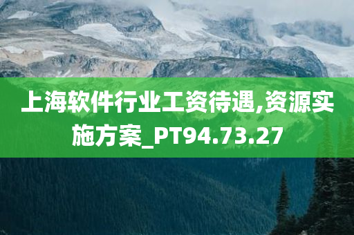 上海软件行业工资待遇,资源实施方案_PT94.73.27