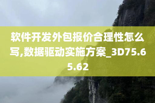 软件开发外包报价合理性怎么写,数据驱动实施方案_3D75.65.62