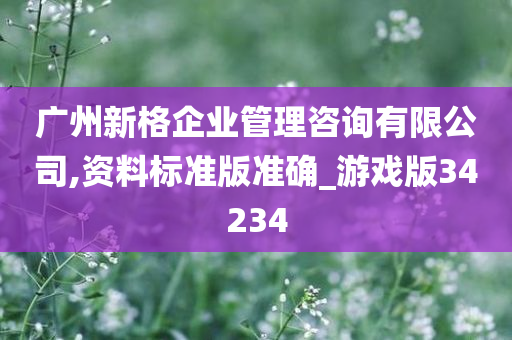 广州新格企业管理咨询有限公司,资料标准版准确_游戏版34234