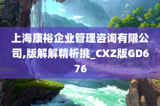 上海康裕企业管理咨询有限公司,版解解精析挑_CXZ版GD676