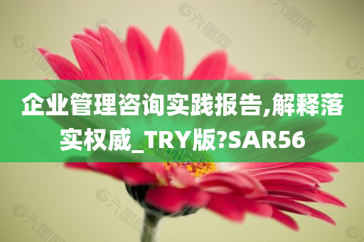 企业管理咨询实践报告,解释落实权威_TRY版?SAR56