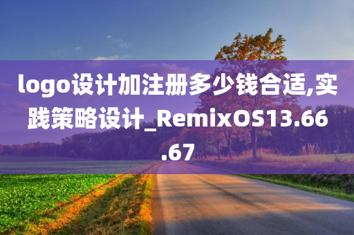 logo设计加注册多少钱合适,实践策略设计_RemixOS13.66.67