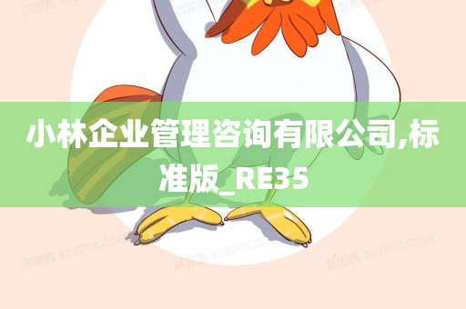 小林企业管理咨询有限公司,标准版_RE35