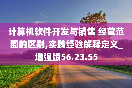 计算机软件开发与销售 经营范围的区别,实践经验解释定义_增强版56.23.55