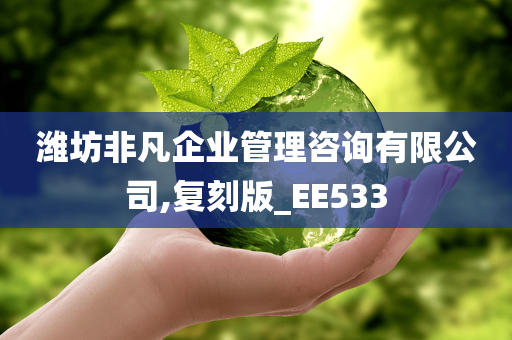 潍坊非凡企业管理咨询有限公司,复刻版_EE533