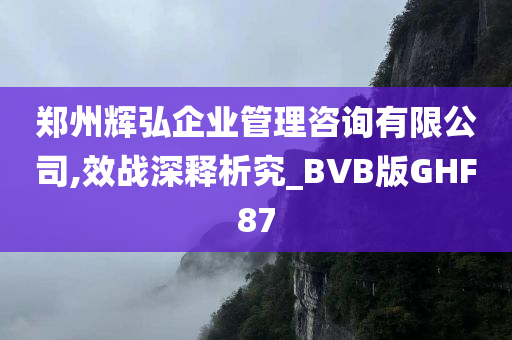 郑州辉弘企业管理咨询有限公司,效战深释析究_BVB版GHF87