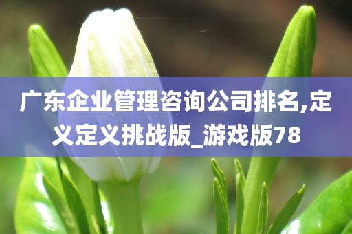 广东企业管理咨询公司排名,定义定义挑战版_游戏版78