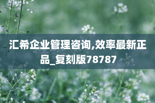 汇希企业管理咨询,效率最新正品_复刻版78787