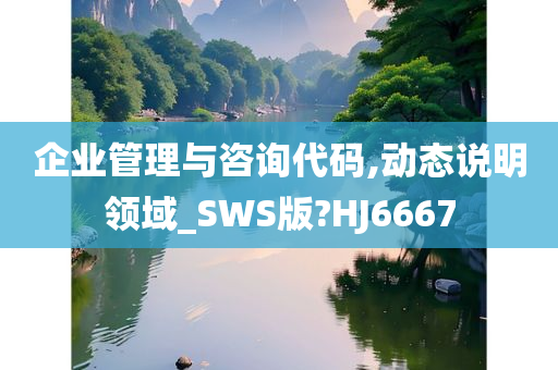 企业管理与咨询代码,动态说明领域_SWS版?HJ6667