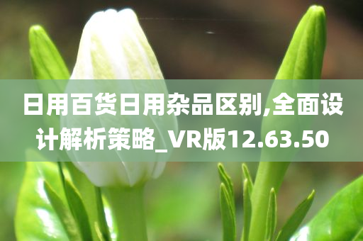 日用百货日用杂品区别,全面设计解析策略_VR版12.63.50