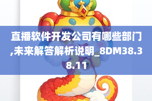 直播软件开发公司有哪些部门,未来解答解析说明_8DM38.38.11