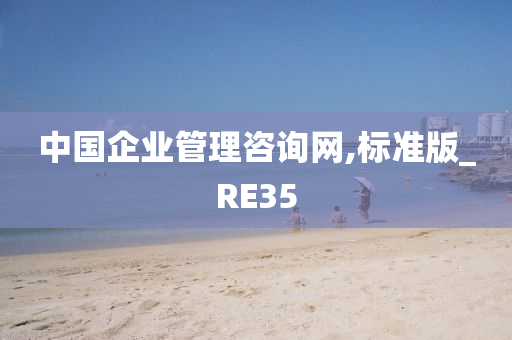 中国企业管理咨询网,标准版_RE35