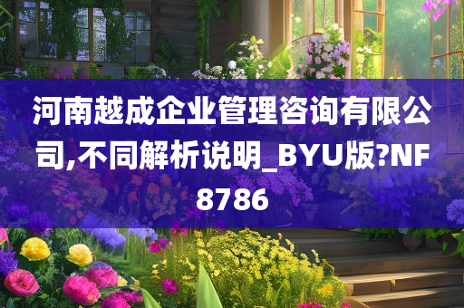 河南越成企业管理咨询有限公司,不同解析说明_BYU版?NF8786