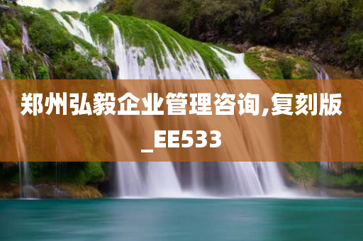 郑州弘毅企业管理咨询,复刻版_EE533