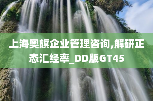 上海奥旗企业管理咨询,解研正态汇经率_DD版GT45