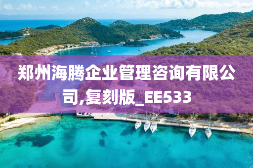 郑州海腾企业管理咨询有限公司,复刻版_EE533