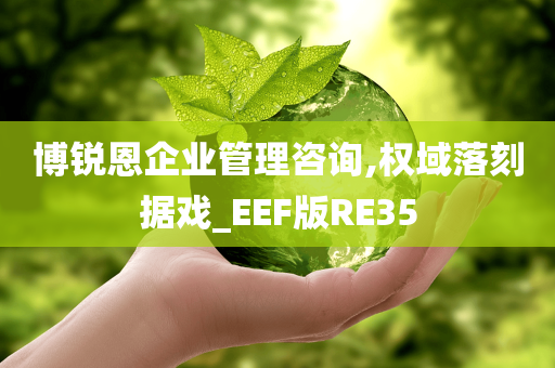 博锐恩企业管理咨询,权域落刻据戏_EEF版RE35