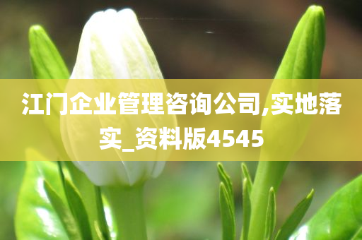 江门企业管理咨询公司,实地落实_资料版4545