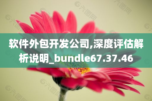 软件外包开发公司,深度评估解析说明_bundle67.37.46