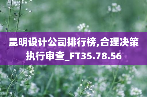 昆明设计公司排行榜,合理决策执行审查_FT35.78.56