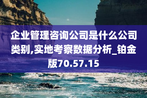 企业管理咨询公司是什么公司类别,实地考察数据分析_铂金版70.57.15