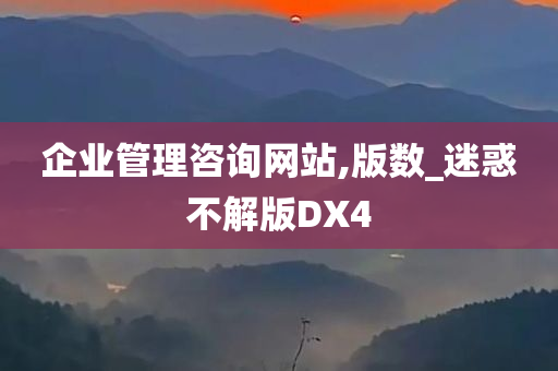 企业管理咨询网站,版数_迷惑不解版DX4