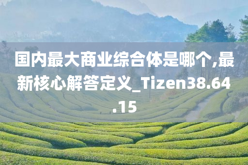 国内最大商业综合体是哪个,最新核心解答定义_Tizen38.64.15