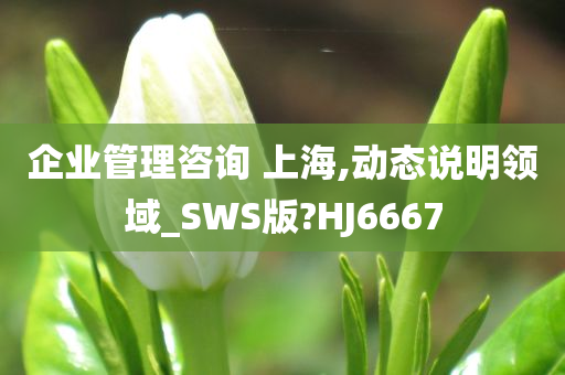 企业管理咨询 上海,动态说明领域_SWS版?HJ6667