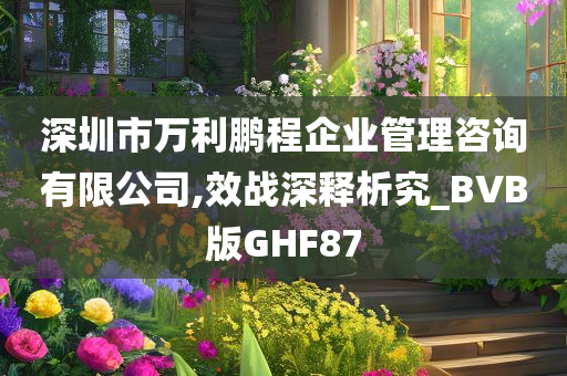 深圳市万利鹏程企业管理咨询有限公司,效战深释析究_BVB版GHF87