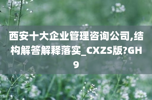 西安十大企业管理咨询公司,结构解答解释落实_CXZS版?GH9