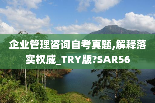 企业管理咨询自考真题,解释落实权威_TRY版?SAR56