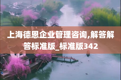 上海德恩企业管理咨询,解答解答标准版_标准版342