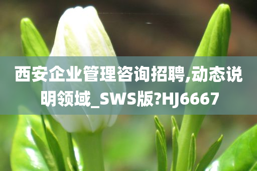 西安企业管理咨询招聘,动态说明领域_SWS版?HJ6667