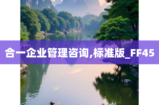 合一企业管理咨询,标准版_FF45