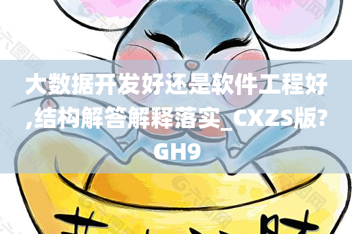 大数据开发好还是软件工程好,结构解答解释落实_CXZS版?GH9