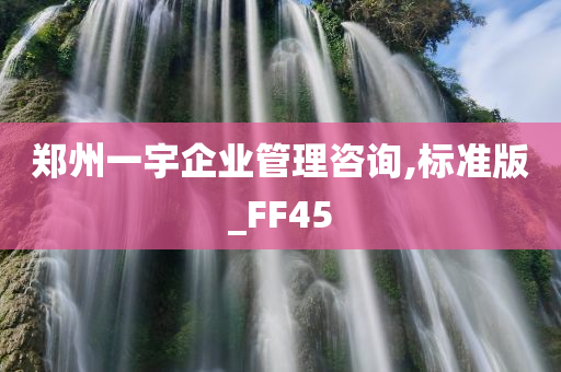 郑州一宇企业管理咨询,标准版_FF45