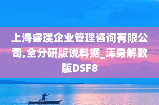 上海睿璞企业管理咨询有限公司,全分研版说料据_浑身解数版DSF8