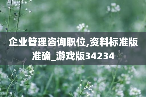 企业管理咨询职位,资料标准版准确_游戏版34234