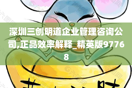 深圳三创明道企业管理咨询公司,正品效率解释_精英版97768