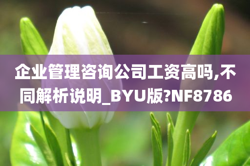 企业管理咨询公司工资高吗,不同解析说明_BYU版?NF8786