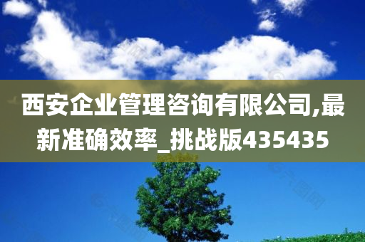 西安企业管理咨询有限公司,最新准确效率_挑战版435435