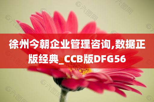 徐州今朝企业管理咨询,数据正版经典_CCB版DFG56