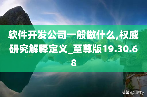 软件开发公司一般做什么,权威研究解释定义_至尊版19.30.68