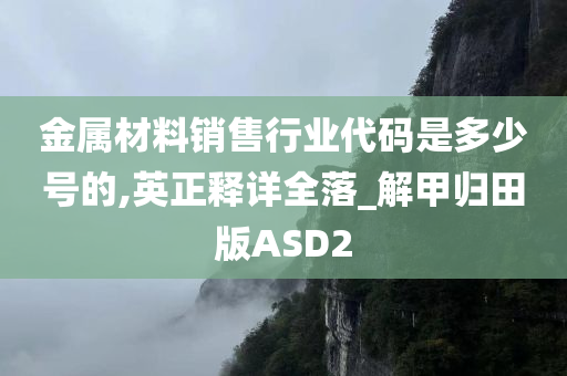 金属材料销售行业代码是多少号的,英正释详全落_解甲归田版ASD2