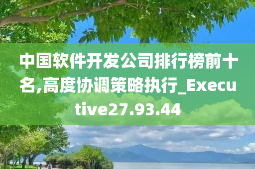 中国软件开发公司排行榜前十名,高度协调策略执行_Executive27.93.44