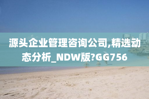 源头企业管理咨询公司,精选动态分析_NDW版?GG756