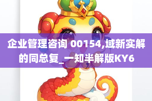 企业管理咨询 00154,域新实解的同总复_一知半解版KY6