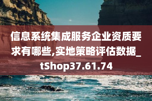 信息系统集成服务企业资质要求有哪些,实地策略评估数据_tShop37.61.74