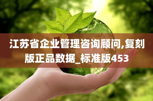 江苏省企业管理咨询顾问,复刻版正品数据_标准版453